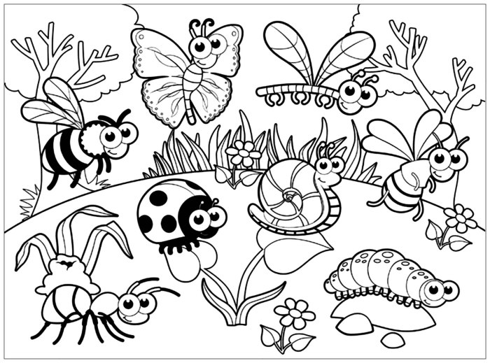 A to z bug facts coloring book