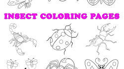 A to z bug facts coloring book