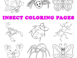 A to Z Bug Facts Coloring Book