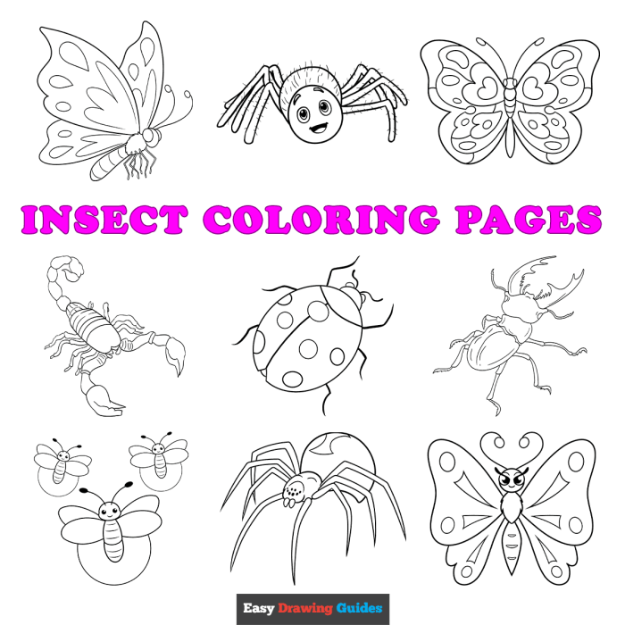 A to z bug facts coloring book